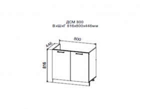 Шкаф нижний ДСМ800 под мойку в Заводоуковске - zavodoukovsk.магазин96.com | фото