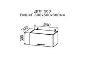Шкаф верхний ДПГ500 горизонтальный в Заводоуковске - zavodoukovsk.магазин96.com | фото