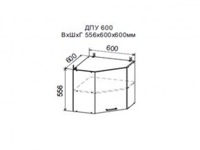 Шкаф верхний ДПУ600 угловой в Заводоуковске - zavodoukovsk.магазин96.com | фото
