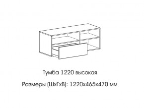 Тумба 1220 (высокая) в Заводоуковске - zavodoukovsk.магазин96.com | фото